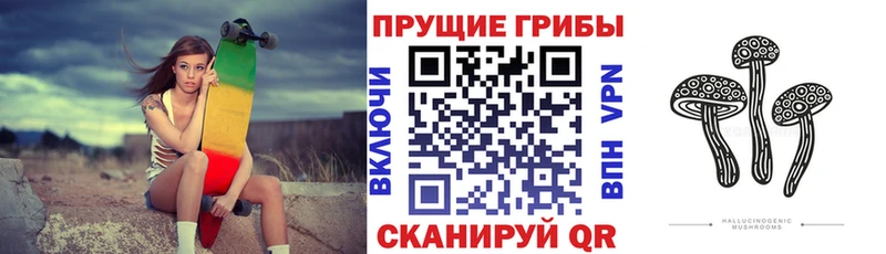 MEGA онион  Усть-Джегута  Галлюциногенные грибы Psilocybine cubensis 