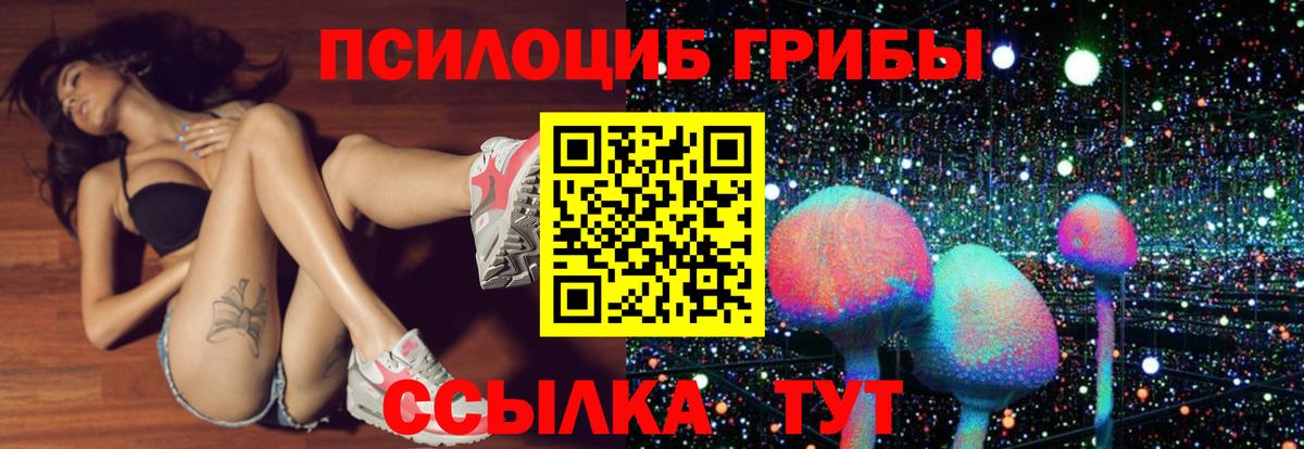 Псилоцибиновые грибы Cubensis  Псилоцибиновые грибы Psilocybine cubensis  Усть-Джегута  Вход с VPN 