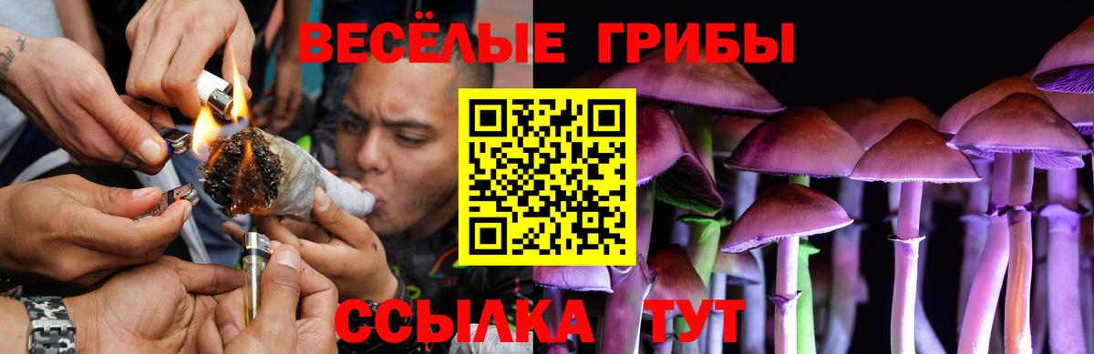 Галлюциногенные грибы мицелий Усть-Джегута